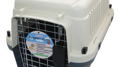 댕냥이 필수템! 450켄넬 리얼 후기 & 꿀팁 대방출 🐶🐱