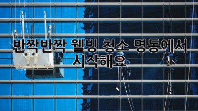 ✨ 반짝반짝✨ 웰빙 청소, 명동에서 시작해요! 💖